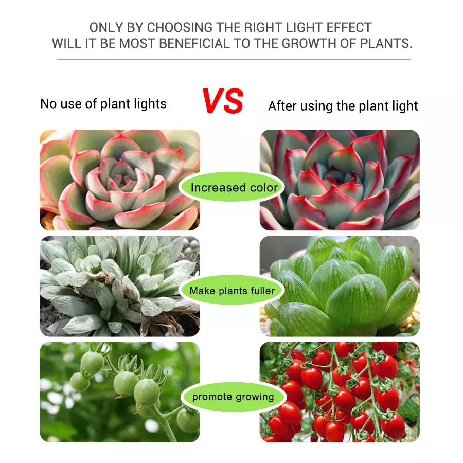 LED Streifen 5V Wachsen Led Bl – Planted Aquarium Hours Bewertung und Preis