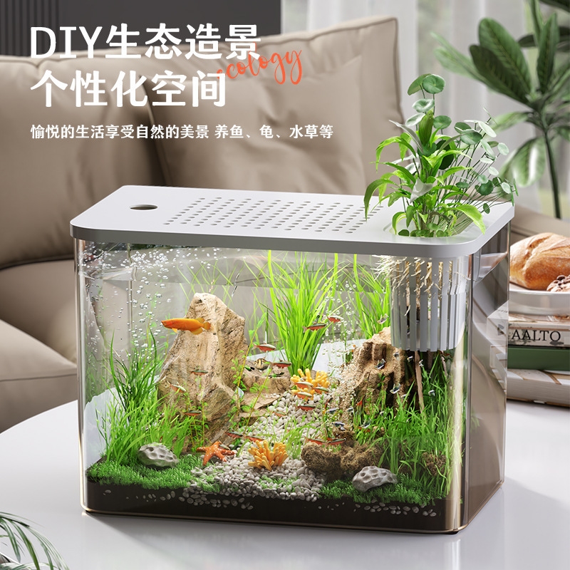 Kunststoff-Aquarium mit Deckel – Planted Aquarium For Goldfish Bewertung und Preis