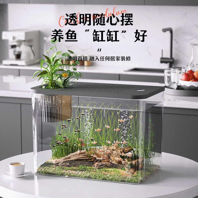 Kunststoff-Aquarium mit Deckel – Planted Aquarium For Goldfish Bewertung und Preis