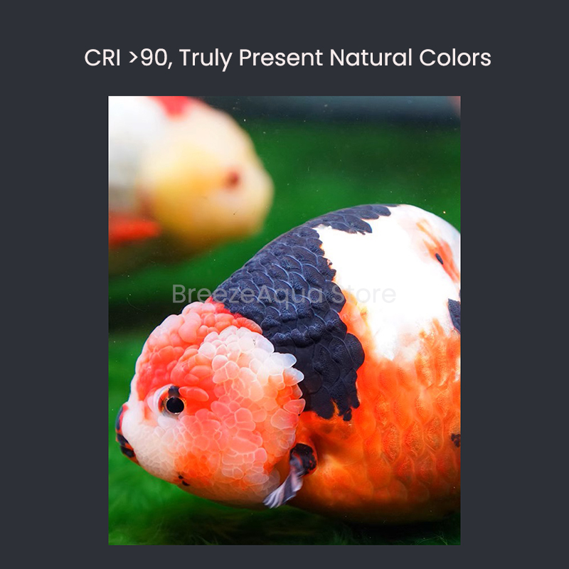 MAYIN Super Color 100 W Süßwas – Planted Aquarium For Goldfish Bewertung und Preis