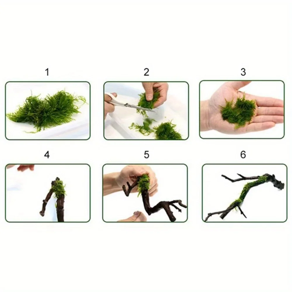 1 Rolle DIY Moos Linie Bindung – Planted Aquarium With Driftwood Bewertung und Preis