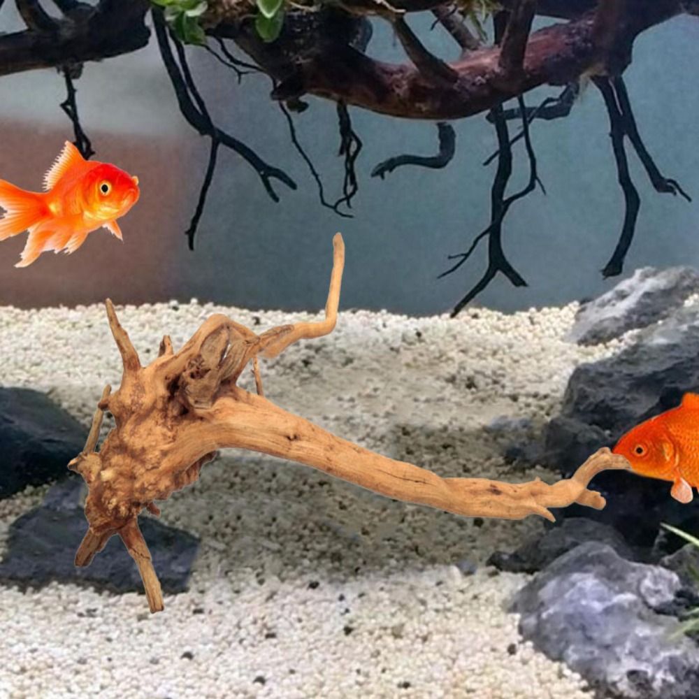 20-25CM Großes Aquarium-Treibh – Planted Aquarium With Driftwood Bewertung und Preis