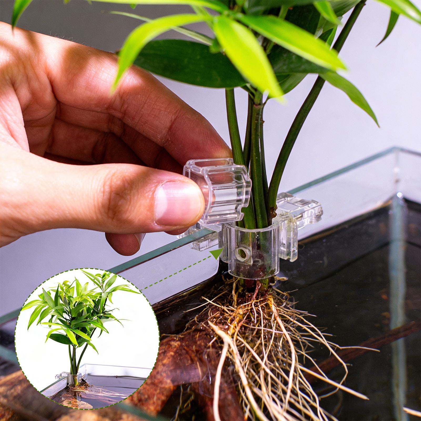 Mini-Aquarium-Pflanzgefäß, 6 S – Planted Aquarium Mini Bewertung und Preis