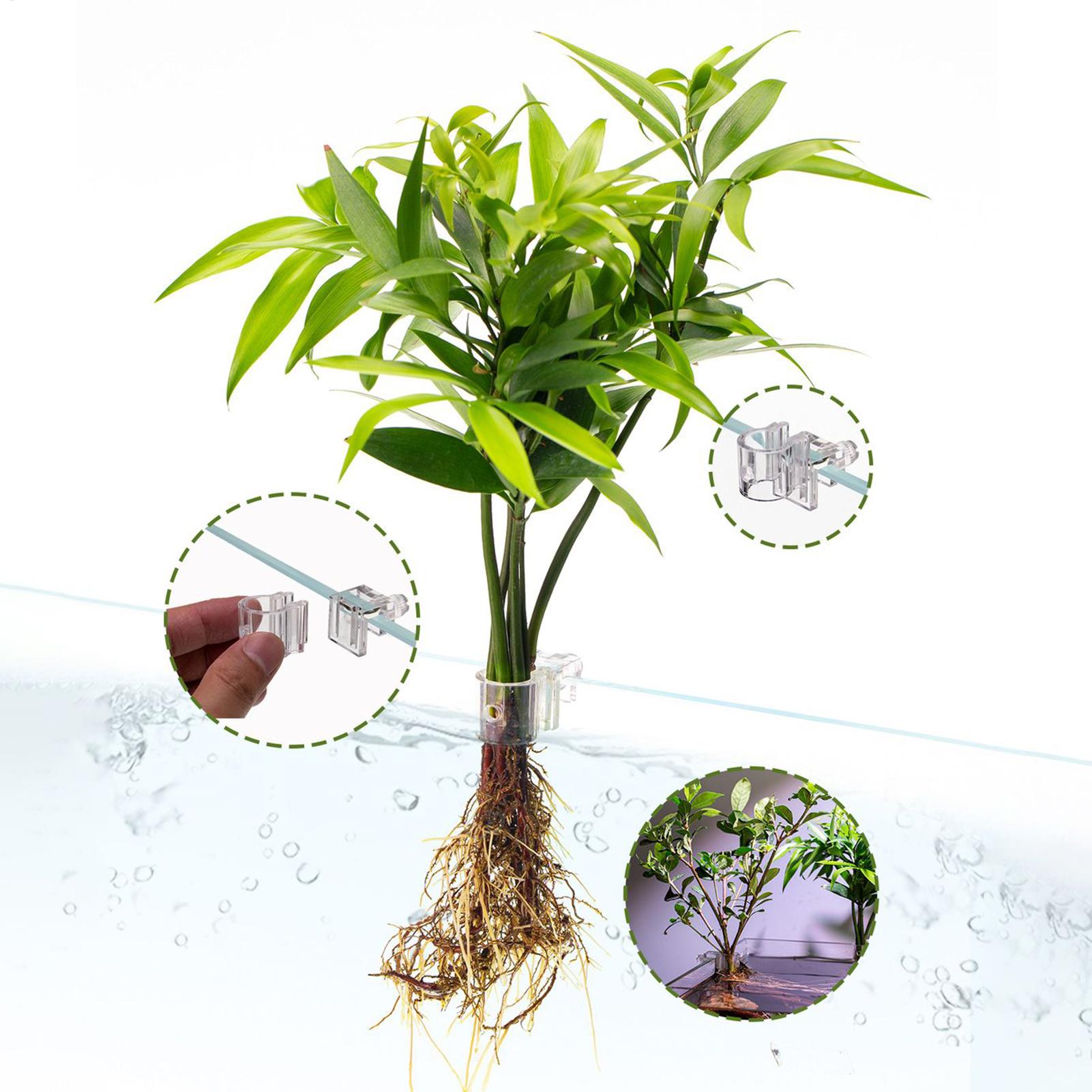 Mini-Aquarium-Pflanzgefäß, 6 S – Planted Aquarium Mini Bewertung und Preis