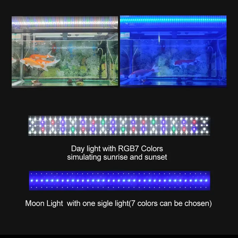RGB LED Aquariumbeleuchtung 12 – Planted Aquarium Hours Bewertung und Preis