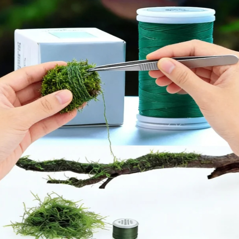 Biologisch Abbaubarer Aquarium – Planted Aquarium With Driftwood Bewertung und Preis