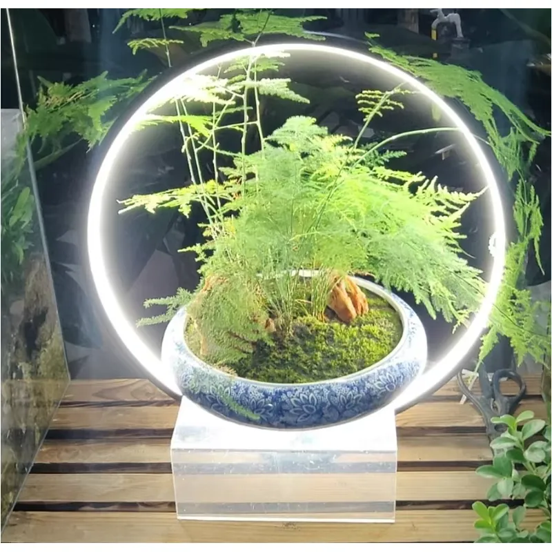 Desktop-LED-Aquariumlampe für  – Planted Aquarium Hours Bewertung und Preis