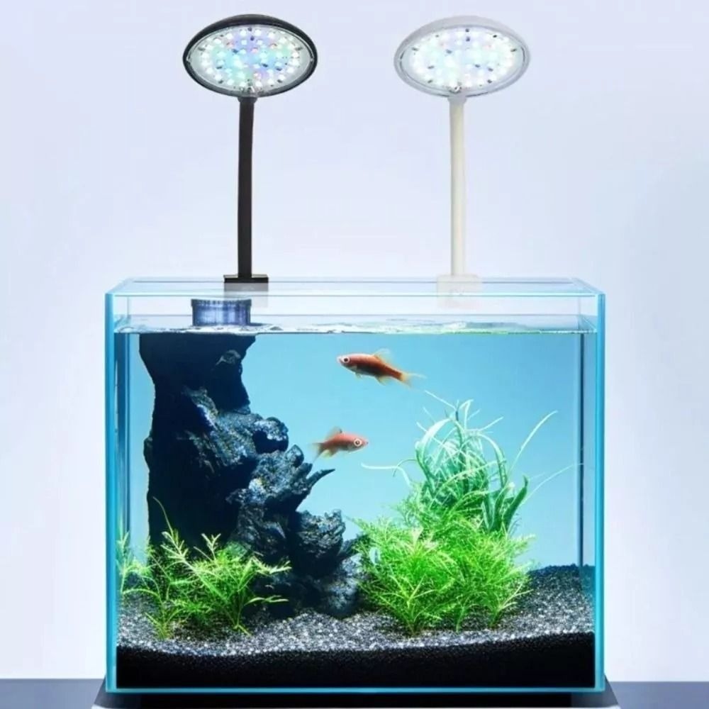 Neue Mini Aquarium Clip Lampe  – Planted Aquarium Mini Bewertung und Preis