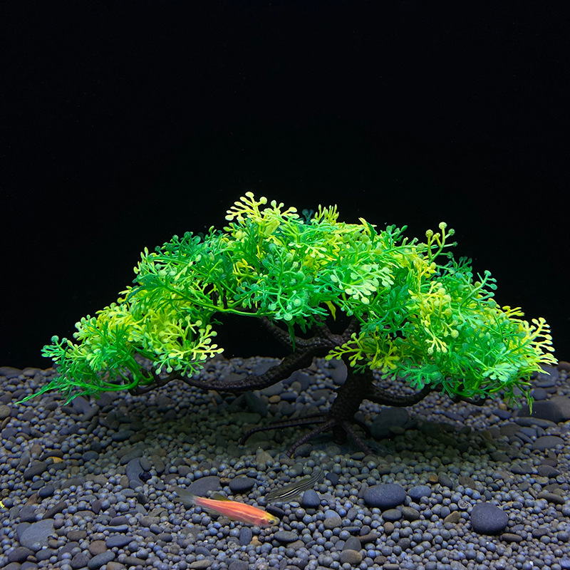Aquarium-Bonsai-Baum, Pflanze, – Planted Aquarium For Goldfish Bewertung und Preis