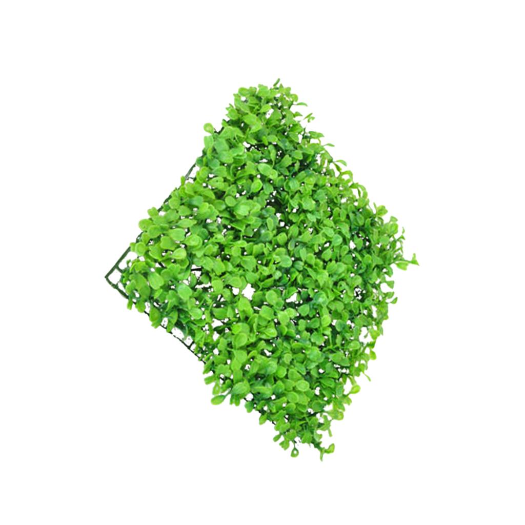 Künstlicher Rasen Grüne Plasti – Planted Aquarium Mini Bewertung und Preis