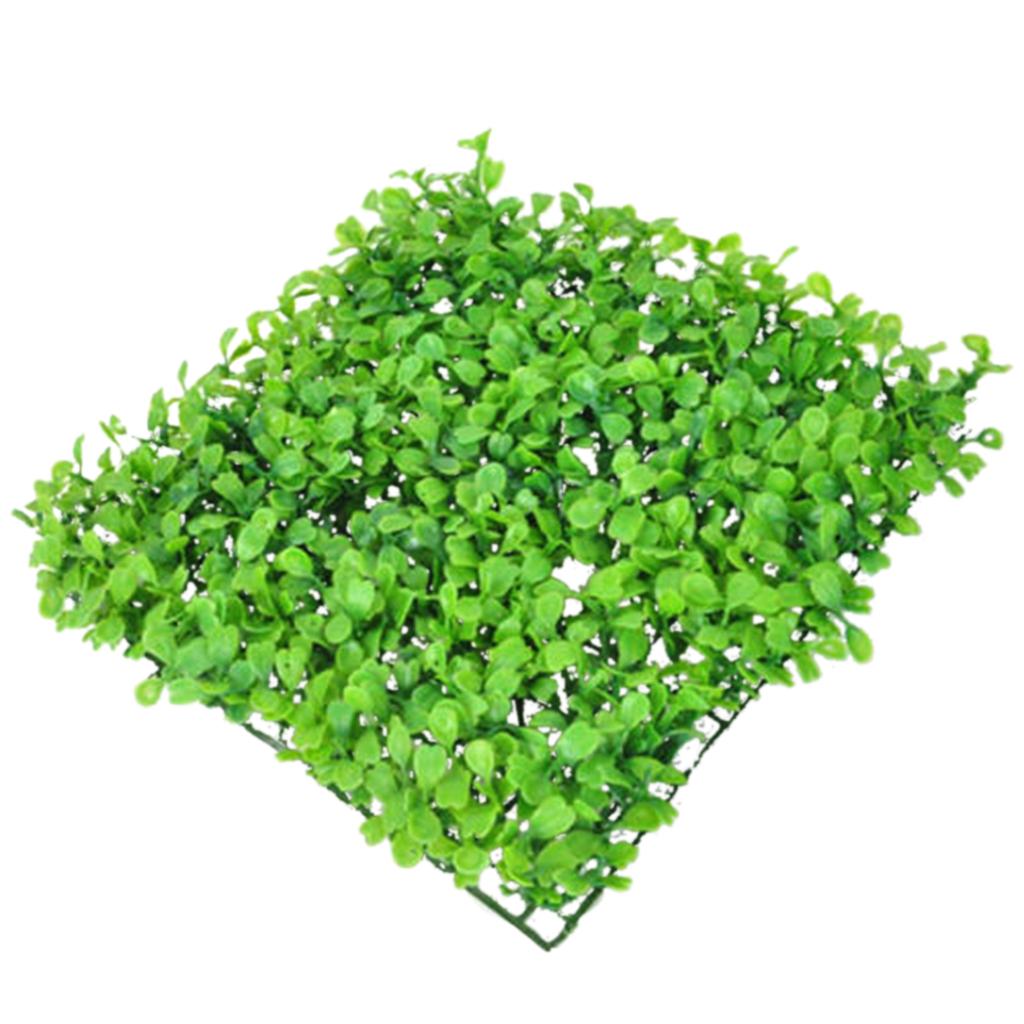 Künstlicher Rasen Grüne Plasti – Planted Aquarium Mini Bewertung und Preis