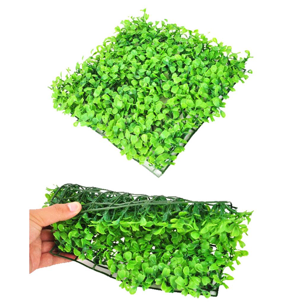 Künstlicher Rasen Grüne Plasti – Planted Aquarium Mini Bewertung und Preis