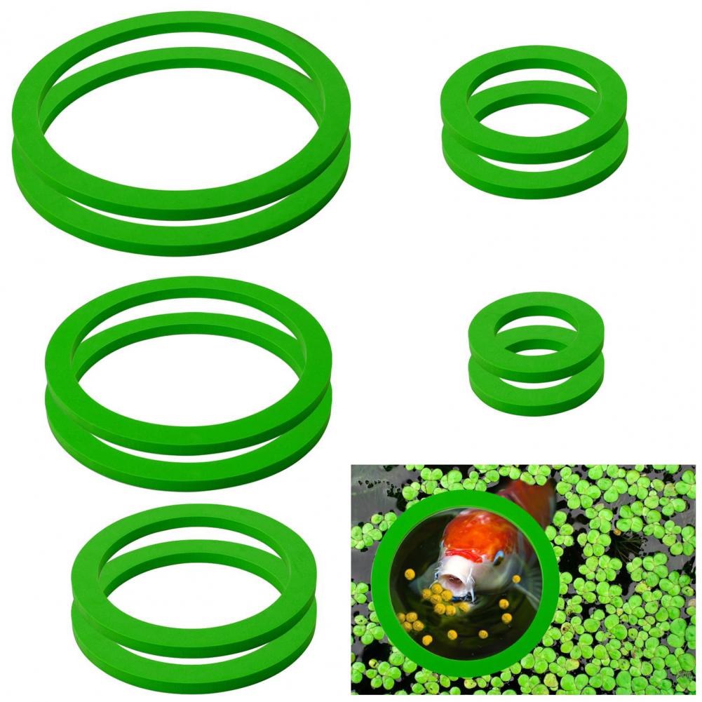 Schwimmring aus Eva-Schaum für – Planted Aquarium For Goldfish Bewertung und Preis
