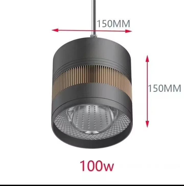 Mayin 60/100 W Süßwasser-Aquar – Planted Aquarium For Goldfish Bewertung und Preis