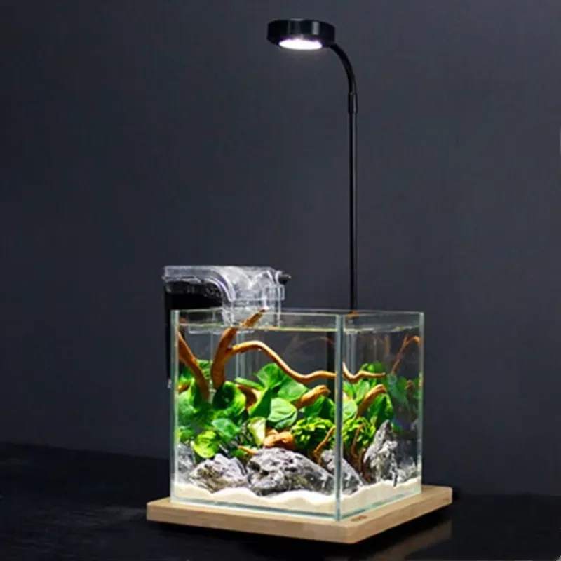 Desktop-Dekorationsleuchte mit – Planted Aquarium Hours Bewertung und Preis