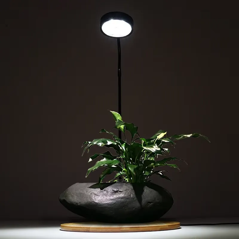 Desktop-Dekorationsleuchte mit – Planted Aquarium Hours Bewertung und Preis