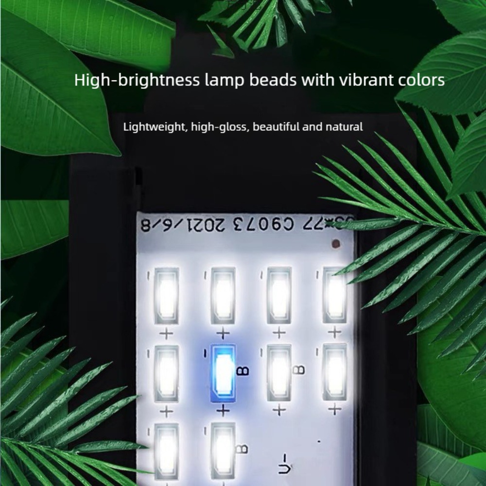 Mini-Clip-On-Aquariumleuchte T – Planted Aquarium Mini Bewertung und Preis