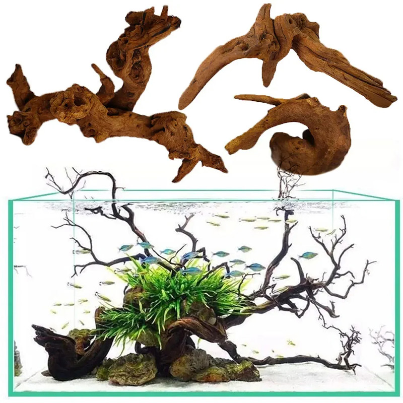 Aquarium-Sinkholz, Naturholz f – Planted Aquarium With Driftwood Bewertung und Preis