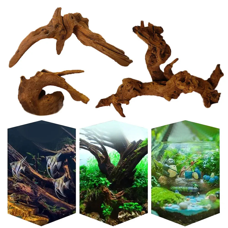 Aquarium-Sinkholz, Naturholz f – Planted Aquarium With Driftwood Bewertung und Preis