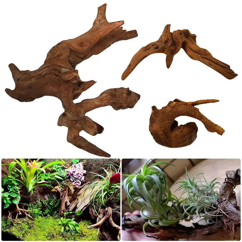 Aquarium-Sinkholz, Naturholz f – Planted Aquarium With Driftwood Bewertung und Preis
