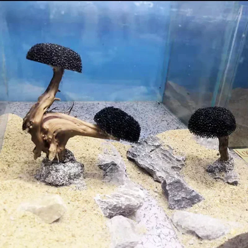 Aquarium Pflanze Moos Baum Dek – Planted Aquarium Without Fish Bewertung und Preis