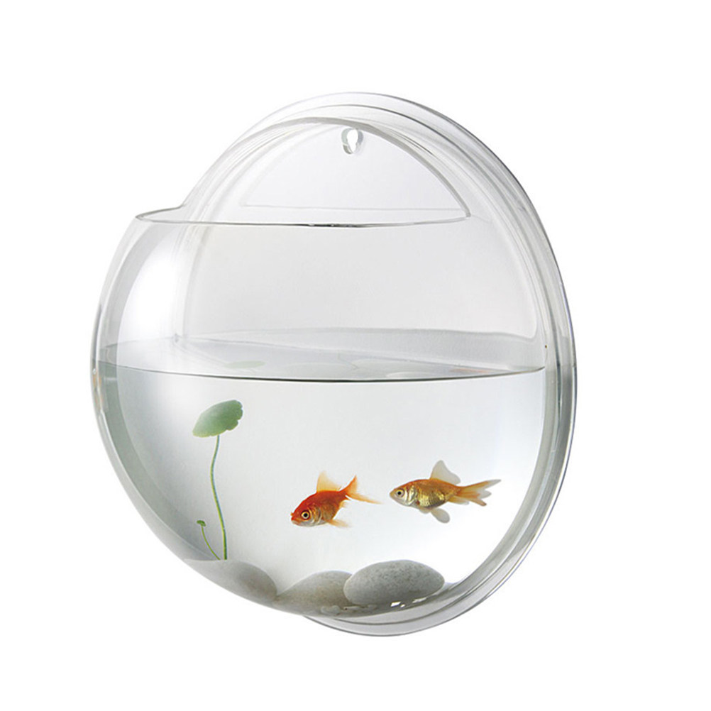 Wandmontiertes Acryl-Aquarium  – Planted Aquarium For Goldfish Bewertung und Preis