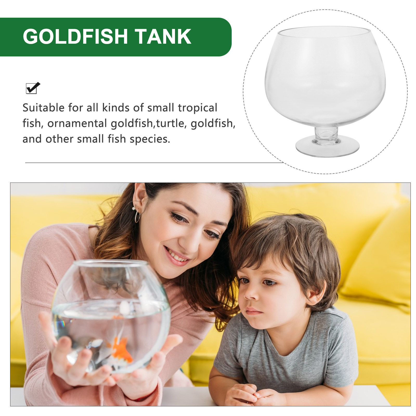 Klarer Haustier-Tischaquariumb – Planted Aquarium For Goldfish Bewertung und Preis