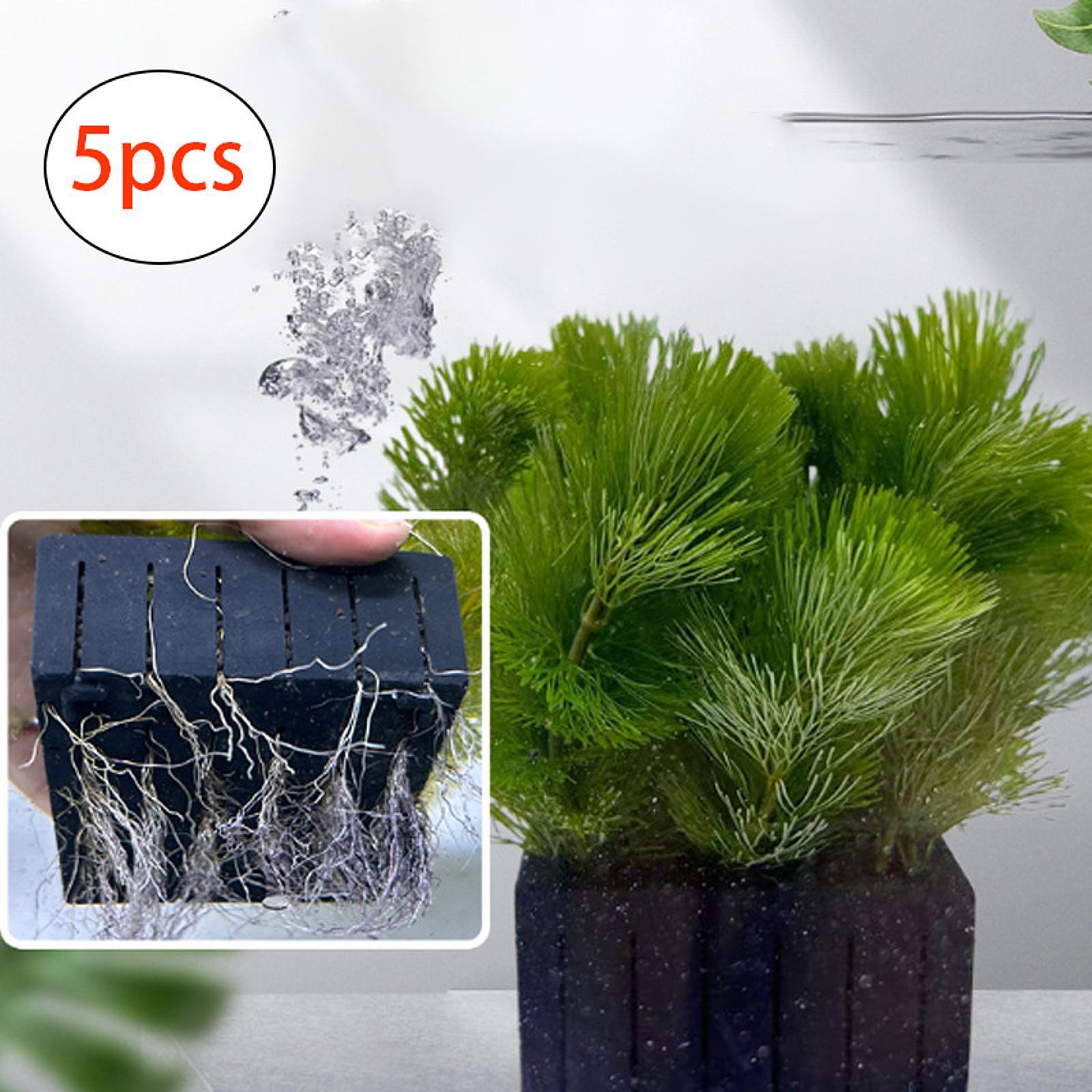 Aquarium Pflanzenkorb PP Kunst – Planted Aquarium Mini Bewertung und Preis